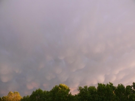 Bollettino meteo - METEOMILANO